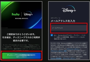 「Hulu | Disney+ セットプラン」登録、ディズニープラス利用手続き